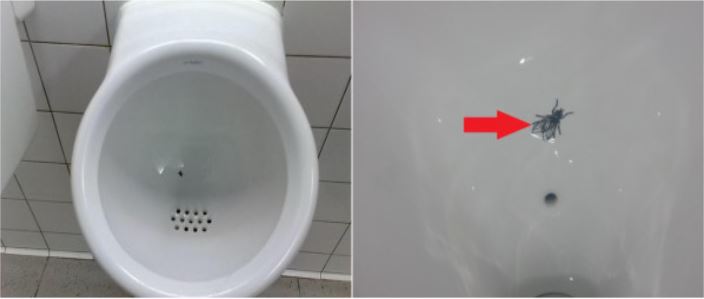 Urinal Spillage Amsterdam